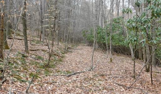 Photo #27 of SOLD property in Off Sylvatus Hwy, Hillsville, VA 42.4 acres