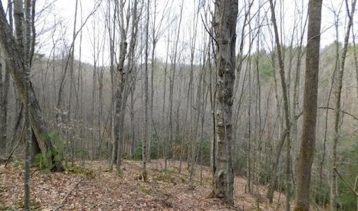 Photo #29 of SOLD property in Off Sylvatus Hwy, Hillsville, VA 42.4 acres
