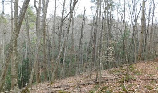 Photo #30 of SOLD property in Off Sylvatus Hwy, Hillsville, VA 42.4 acres