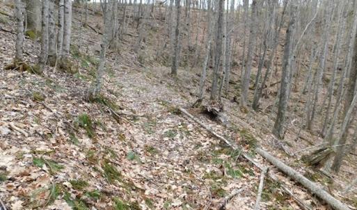 Photo #31 of SOLD property in Off Sylvatus Hwy, Hillsville, VA 42.4 acres