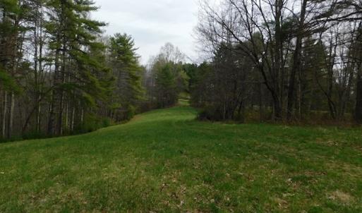 Photo #34 of SOLD property in Off Sylvatus Hwy, Hillsville, VA 42.4 acres