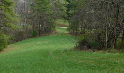 Photo #35 of SOLD property in Off Sylvatus Hwy, Hillsville, VA 42.4 acres