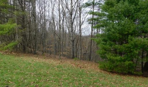 Photo #36 of SOLD property in Off Sylvatus Hwy, Hillsville, VA 42.4 acres