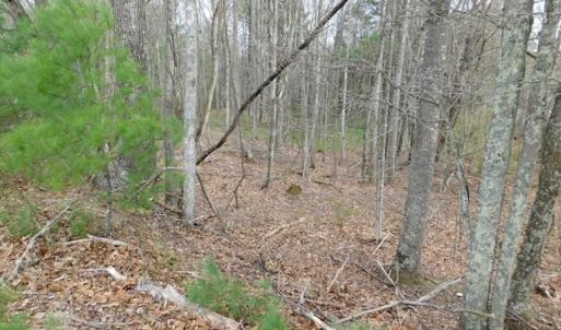 Photo #37 of SOLD property in Off Sylvatus Hwy, Hillsville, VA 42.4 acres