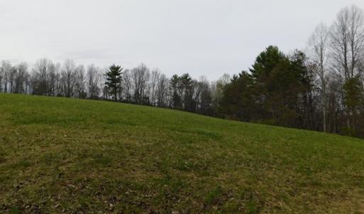 Photo #38 of SOLD property in Off Sylvatus Hwy, Hillsville, VA 42.4 acres