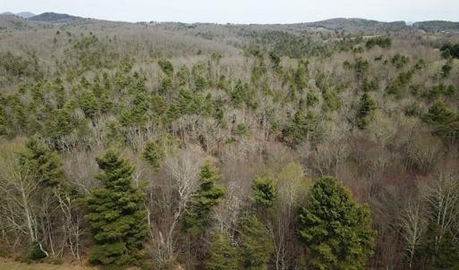 Photo #3 of SOLD property in Off Sylvatus Hwy, Hillsville, VA 42.4 acres
