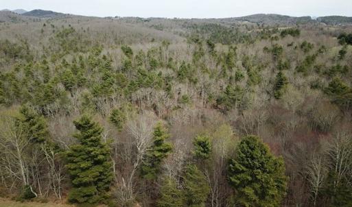 Photo #3 of SOLD property in Off Sylvatus Hwy, Hillsville, VA 42.4 acres