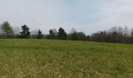 Photo #4 of SOLD property in Off Sylvatus Hwy, Hillsville, VA 42.4 acres