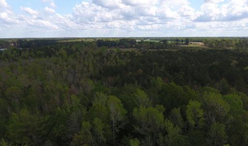 Photo #3 of SOLD property in Near 5727 Red Hill Road, Whiteville, NC 71.2 acres