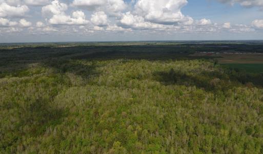 Photo #5 of SOLD property in Near 5727 Red Hill Road, Whiteville, NC 71.2 acres