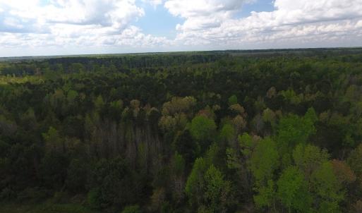 Photo #7 of SOLD property in Near 5727 Red Hill Road, Whiteville, NC 71.2 acres
