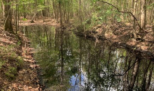 Photo #12 of SOLD property in Near 5727 Red Hill Road, Whiteville, NC 71.2 acres