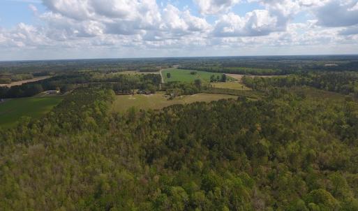 Photo #4 of SOLD property in Near 5727 Red Hill Road, Whiteville, NC 71.2 acres