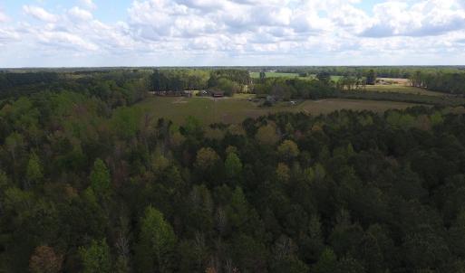 Photo #8 of SOLD property in Near 5727 Red Hill Road, Whiteville, NC 71.2 acres