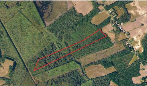 Photo #1 of SOLD property in Near 5727 Red Hill Road, Whiteville, NC 71.2 acres