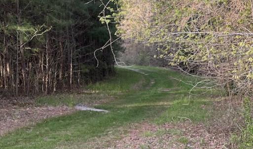 Photo #16 of 30075 Meherrin Road, Boykins, VA 126.0 acres