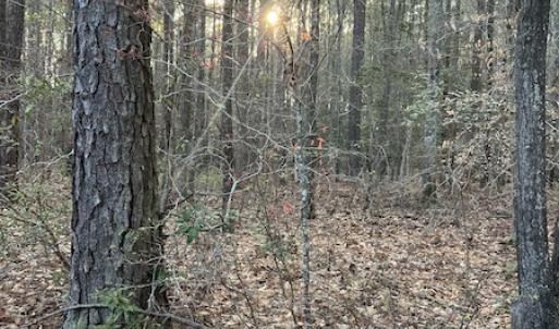 Photo #18 of 30075 Meherrin Road, Boykins, VA 126.0 acres
