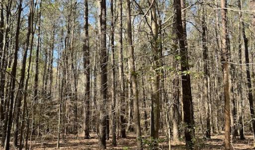 Photo #20 of 30075 Meherrin Road, Boykins, VA 126.0 acres