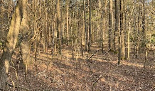 Photo #22 of 30075 Meherrin Road, Boykins, VA 126.0 acres