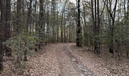 Photo #25 of 30075 Meherrin Road, Boykins, VA 126.0 acres