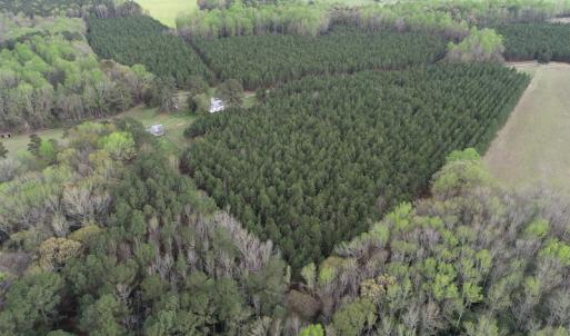Photo #32 of 30075 Meherrin Road, Boykins, VA 126.0 acres
