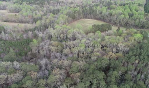 Photo #34 of 30075 Meherrin Road, Boykins, VA 126.0 acres