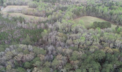 Photo #35 of 30075 Meherrin Road, Boykins, VA 126.0 acres