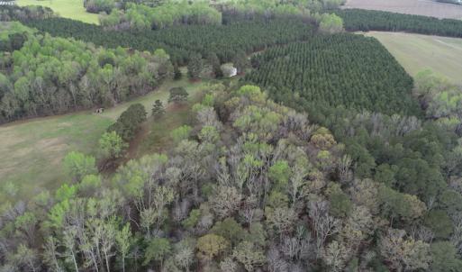 Photo #36 of 30075 Meherrin Road, Boykins, VA 126.0 acres