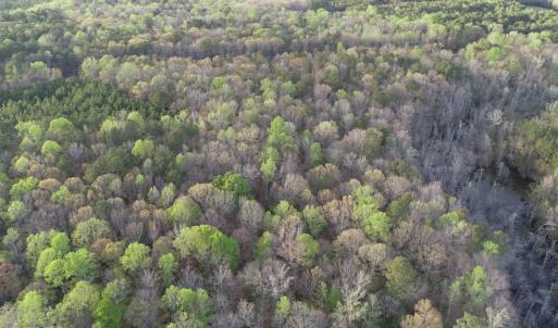 Photo #38 of 30075 Meherrin Road, Boykins, VA 126.0 acres