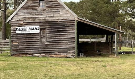 Photo #5 of 30075 Meherrin Road, Boykins, VA 126.0 acres