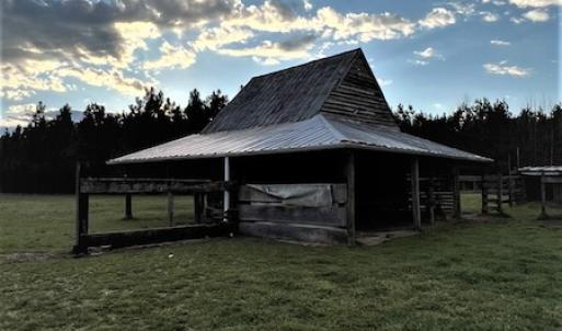 Photo #6 of 30075 Meherrin Road, Boykins, VA 126.0 acres
