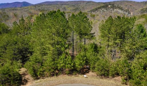 Photo #13 of SOLD property in Off Overlook Court Lot 83, Pittsville, VA 1.5 acres