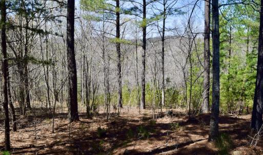 Photo #14 of SOLD property in Off Overlook Court Lot 83, Pittsville, VA 1.5 acres