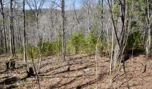 Photo #15 of SOLD property in Off Overlook Court Lot 83, Pittsville, VA 1.5 acres