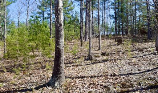 Photo #16 of SOLD property in Off Overlook Court Lot 83, Pittsville, VA 1.5 acres