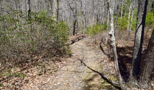Photo #17 of SOLD property in Off Overlook Court Lot 83, Pittsville, VA 1.5 acres