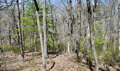 Photo #18 of SOLD property in Off Overlook Court Lot 83, Pittsville, VA 1.5 acres
