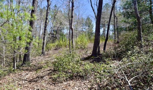 Photo #19 of SOLD property in Off Overlook Court Lot 83, Pittsville, VA 1.5 acres
