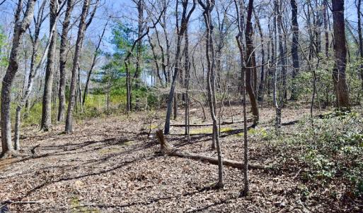 Photo #20 of SOLD property in Off Overlook Court Lot 83, Pittsville, VA 1.5 acres