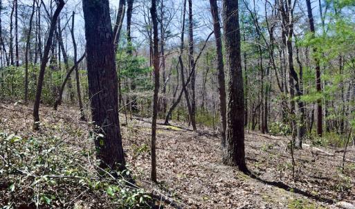 Photo #21 of SOLD property in Off Overlook Court Lot 83, Pittsville, VA 1.5 acres