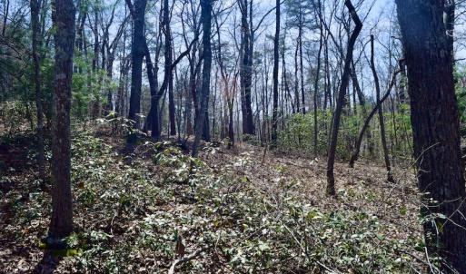 Photo #22 of SOLD property in Off Overlook Court Lot 83, Pittsville, VA 1.5 acres