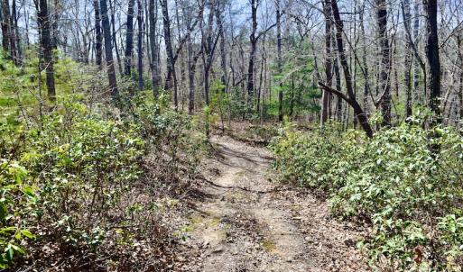 Photo #23 of SOLD property in Off Overlook Court Lot 83, Pittsville, VA 1.5 acres