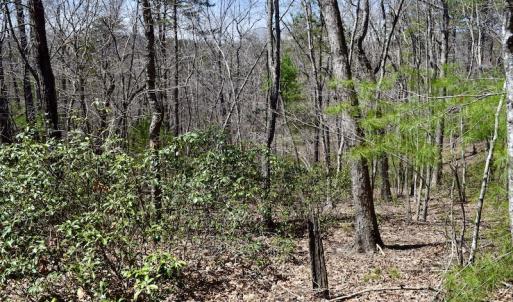 Photo #24 of SOLD property in Off Overlook Court Lot 83, Pittsville, VA 1.5 acres