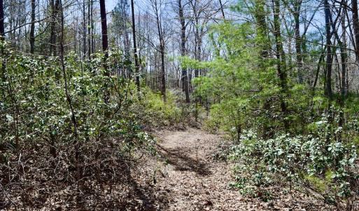 Photo #25 of SOLD property in Off Overlook Court Lot 83, Pittsville, VA 1.5 acres