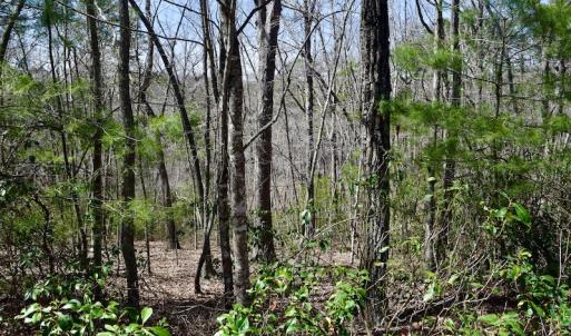 Photo #26 of SOLD property in Off Overlook Court Lot 83, Pittsville, VA 1.5 acres