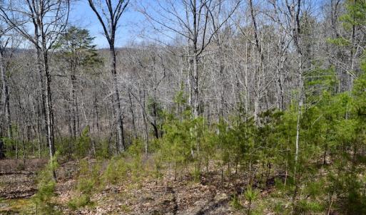 Photo #27 of SOLD property in Off Overlook Court Lot 83, Pittsville, VA 1.5 acres
