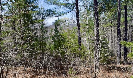 Photo #28 of SOLD property in Off Overlook Court Lot 83, Pittsville, VA 1.5 acres