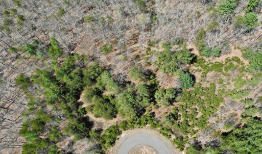 Photo #7 of SOLD property in Off Overlook Court Lot 83, Pittsville, VA 1.5 acres