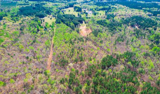Photo #13 of SOLD property in Off Julie McKnight Road, Kittrell, NC 12.2 acres