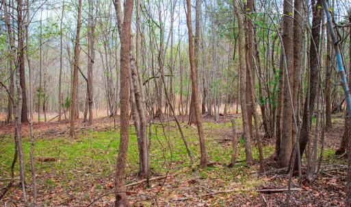 Photo #21 of SOLD property in Off Julie McKnight Road, Kittrell, NC 12.2 acres